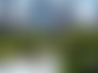 June 2025 Newsletter