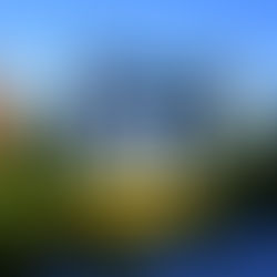 Keeping Houston Beautiful: Use the 311 App to Fight Visual Clutter