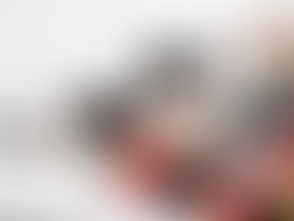 Why Do Cats Knead? The Real Reason Behind “Making Biscuits”