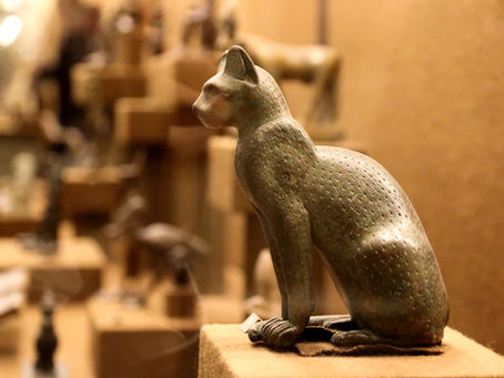 Cat Museums Around the World