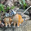Thumbnail: Sterling silver handmade pair of cats.