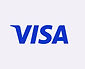 Visa_Grey.jpeg