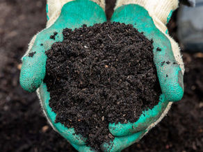 Soil is not a dirty word! 