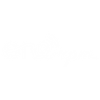 NN.png