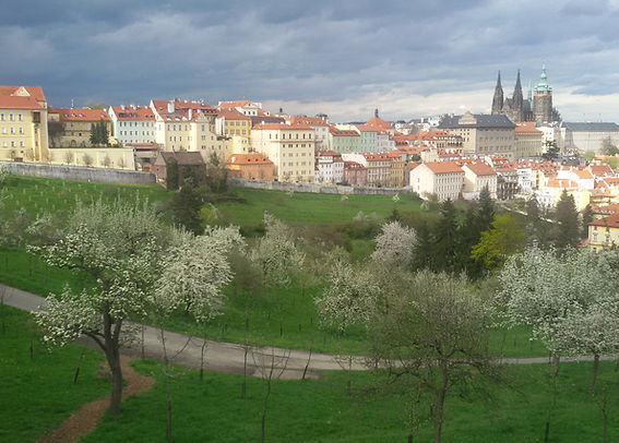 20160416_164324.jpg