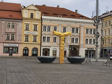 20191228_121048.jpg
