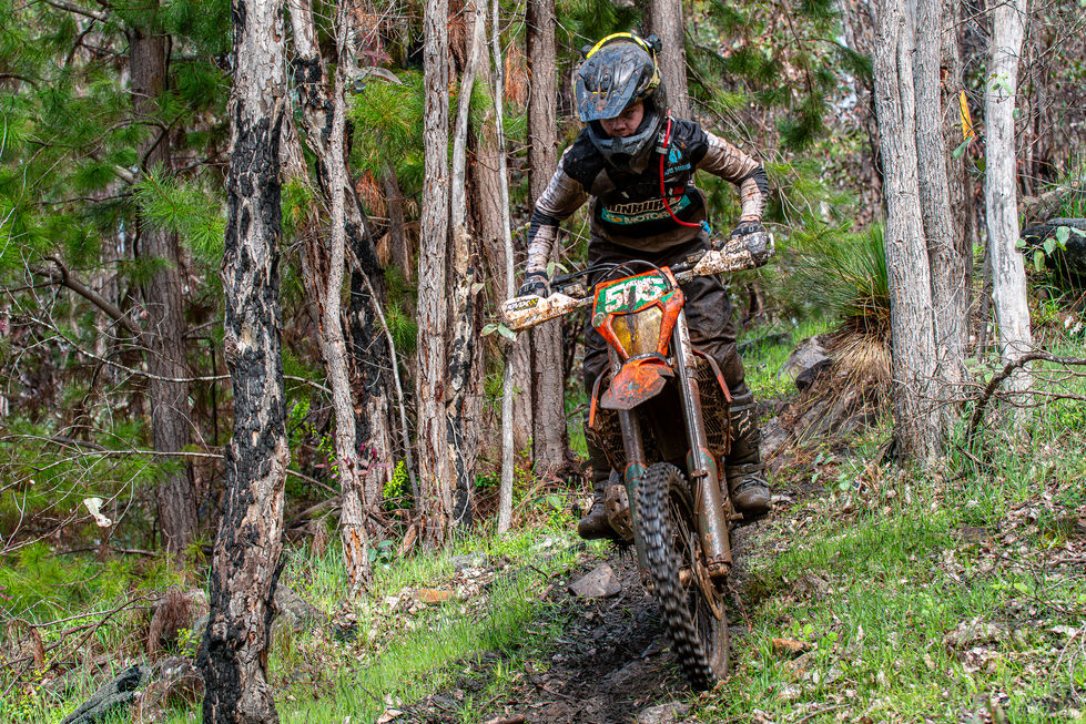 LBI_1762-Enhanced-NR