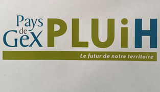 Délibération prescrivant la révision allégée N°9 du Plan Local d'Urbanisation Intercommunal 