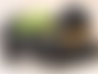 Cómo cultivar tus propias moras en casa