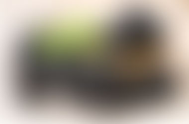 Cómo cultivar tus propias moras en casa