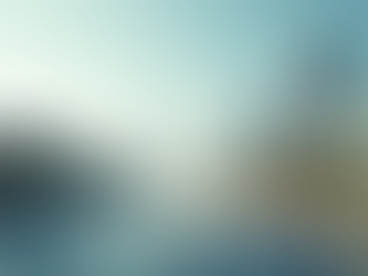 Peut-on obtenir une carte verte après un visa E-2 ?