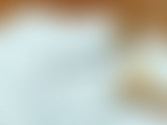 E-2 Visa et S Corporation : comment optimiser votre structure d’entreprise aux États-Unis