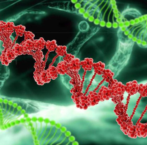 dieta w fenyloketonurii