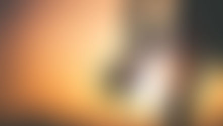 Wildlife photographer gear