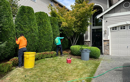 WhatsApp Image 2026-03-25 at 18.05.39 (4).jpeg