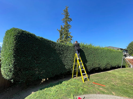 WhatsApp Image 2026-03-25 at 18.05.39 (2).jpeg