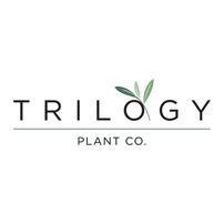 Triolgy Plan Co.