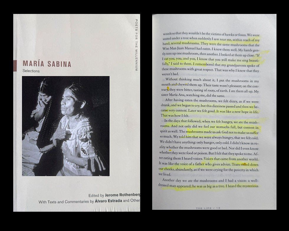 Photos from the book, "Maria Sabina"