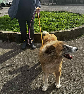 558147410_863504142917036_4445545901210017430_n (1).jpg