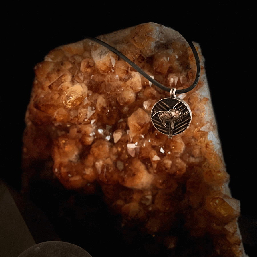 ezgif.com-gif-maker (9).gif