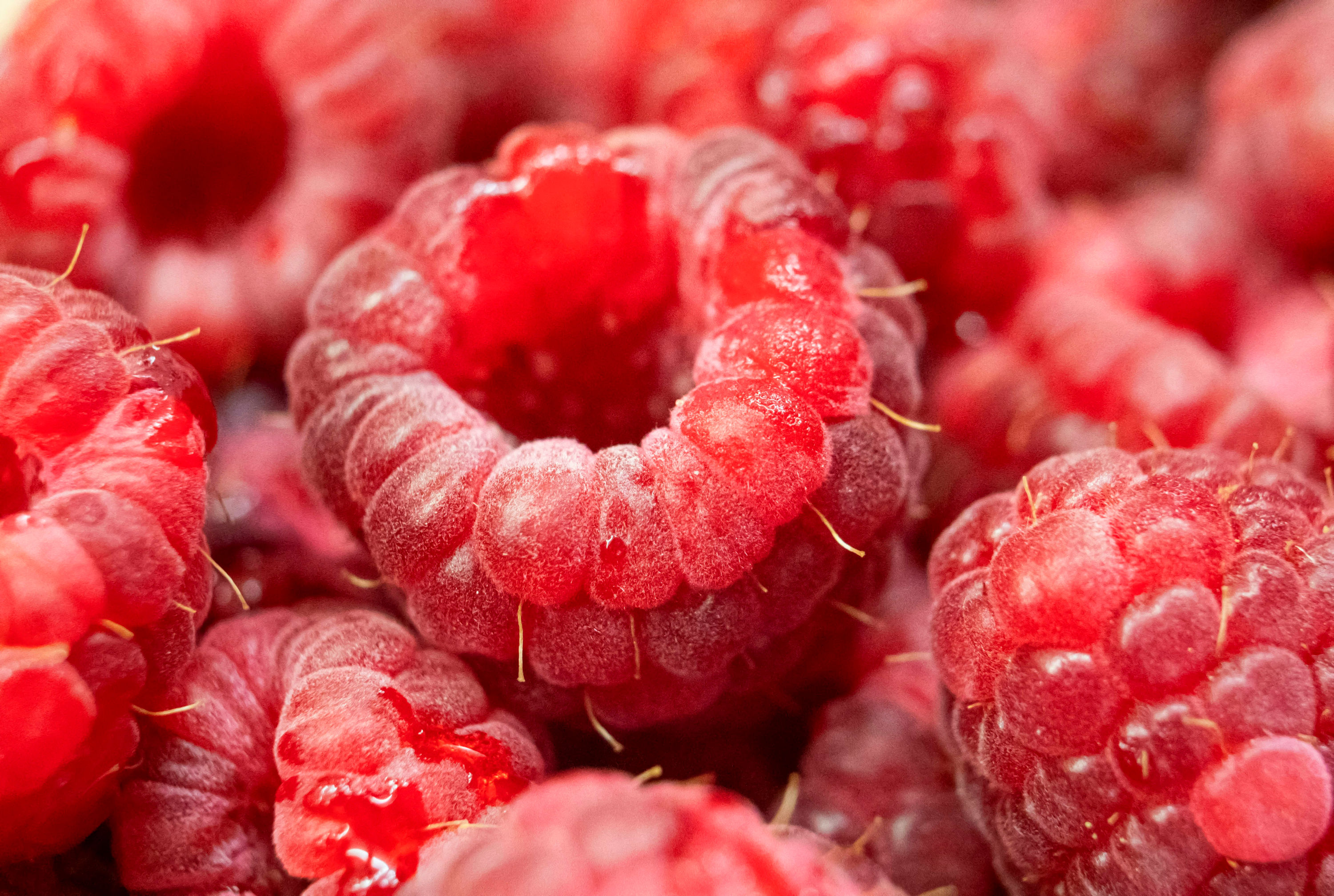 Raspberry
