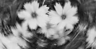 Captura de pantalla 2025-05-31 a la(s) 5.34.52 p.m..png