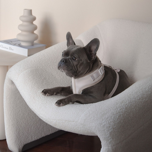 Ivory Comfort Adjustable No Pull Dog Harness Leather Detail | PETsRUS