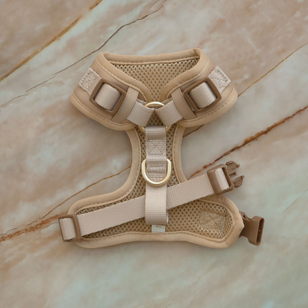 Thumbnail: Maggie No Pull Adjustable Harness