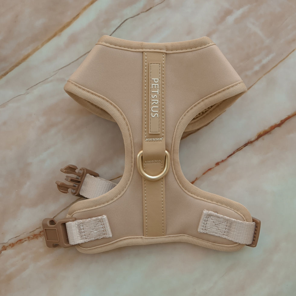 Thumbnail: Maggie No Pull Adjustable Harness