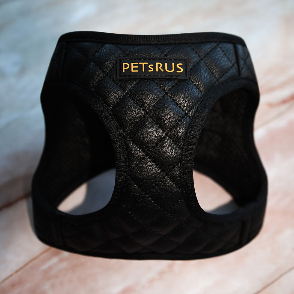 Thumbnail: All Black Gold Step In Vest Dog Harness Velcro Extra Security Quilted Vegan Leather Breathable Mesh Luxury Boy Girl Dog