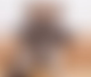 Top Dog Breeds That Are Easy to Train