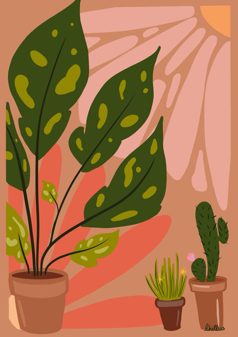 affiche florale avec plantes vertes couleur terra cotta