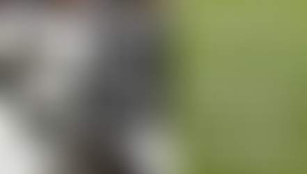 Floyd of Rosedale: Iowa Time Machine November 9, 1935