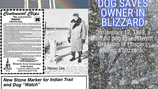 Dog Saves Owner in Blizzard: Iowa Time Machine January 12, 1888