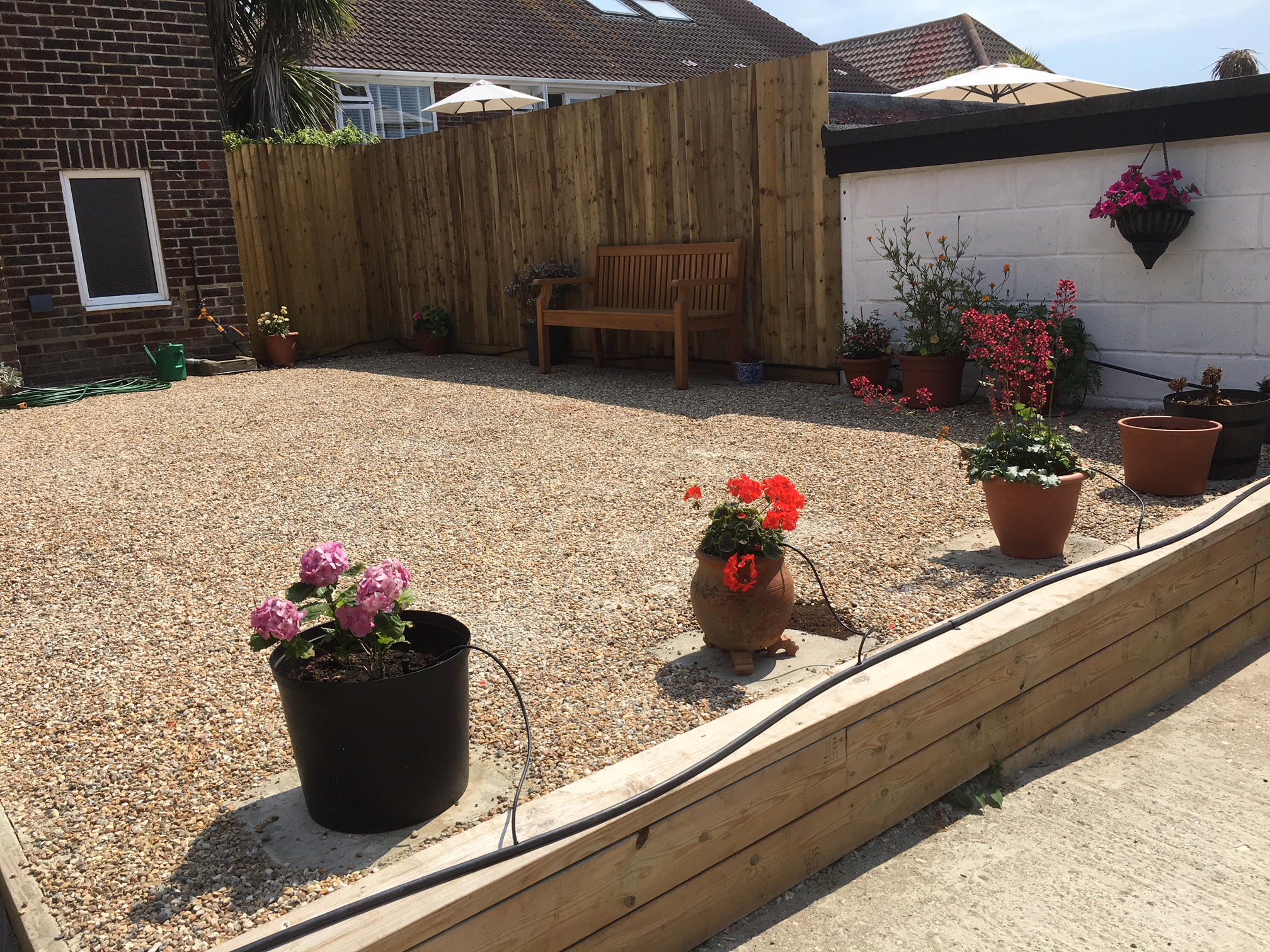 Rear Peace Garden