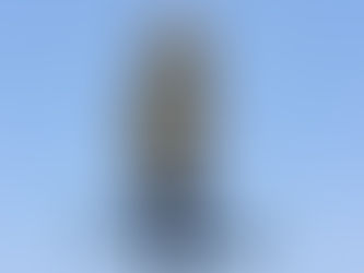 Reflection #1: Linguistic Landscape