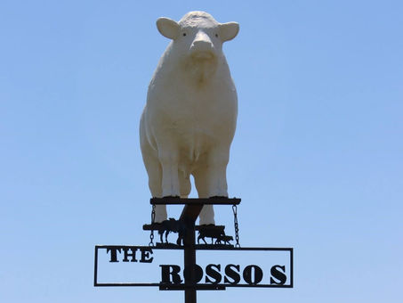 Reflection #1: Linguistic Landscape