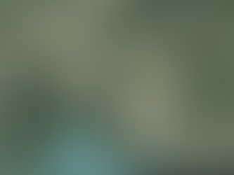 Linguistic Landscape