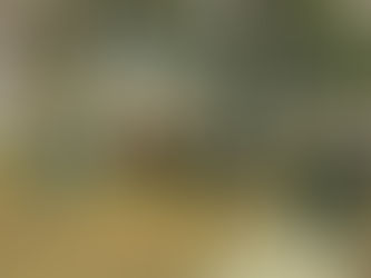 Warm Hearts for the Holidays