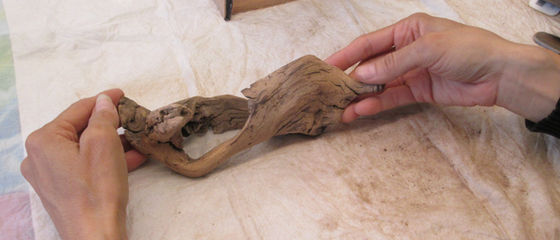 Stories Beneath the Surface