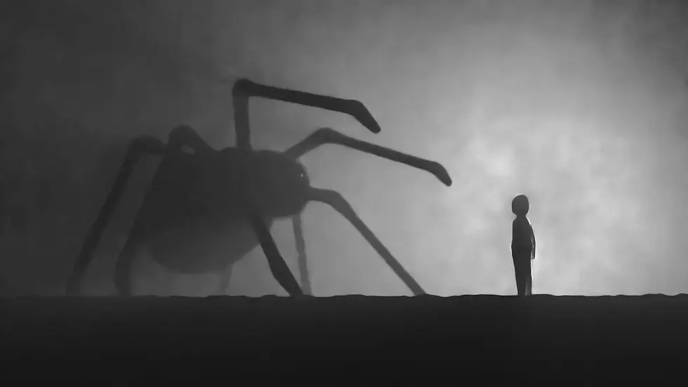Overcome Phobias, Release Fear, and Restore Confidence with Emotion Coding in Minneapolis and St. Paul