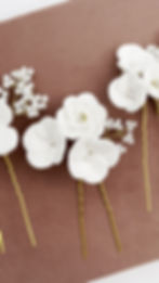 Thumbnail: Magnolia