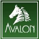 logo.jpeg