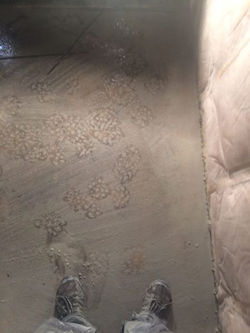 photo_1230770123612038