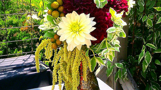 Garden Variety