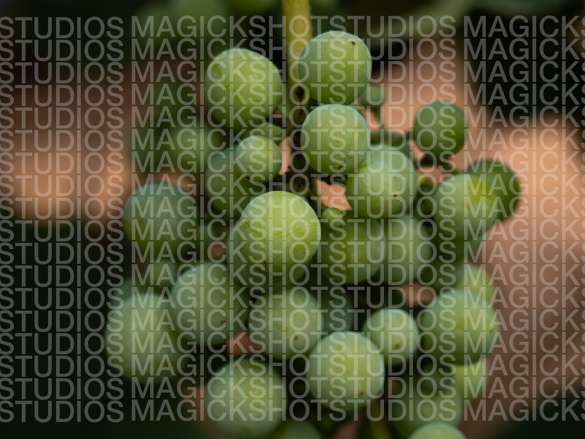 Grapes