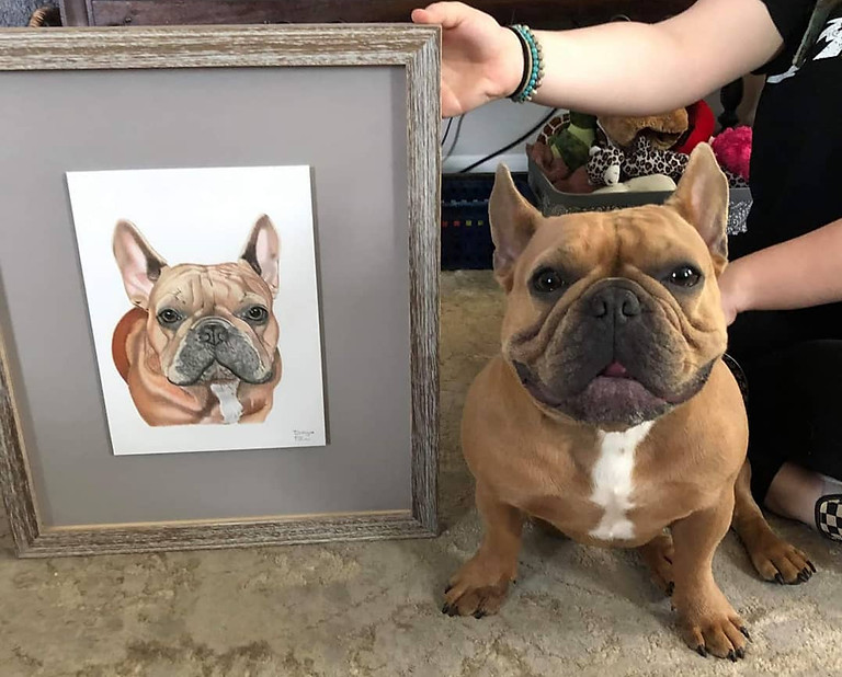 french bulldog pet portrait drawing testimonial