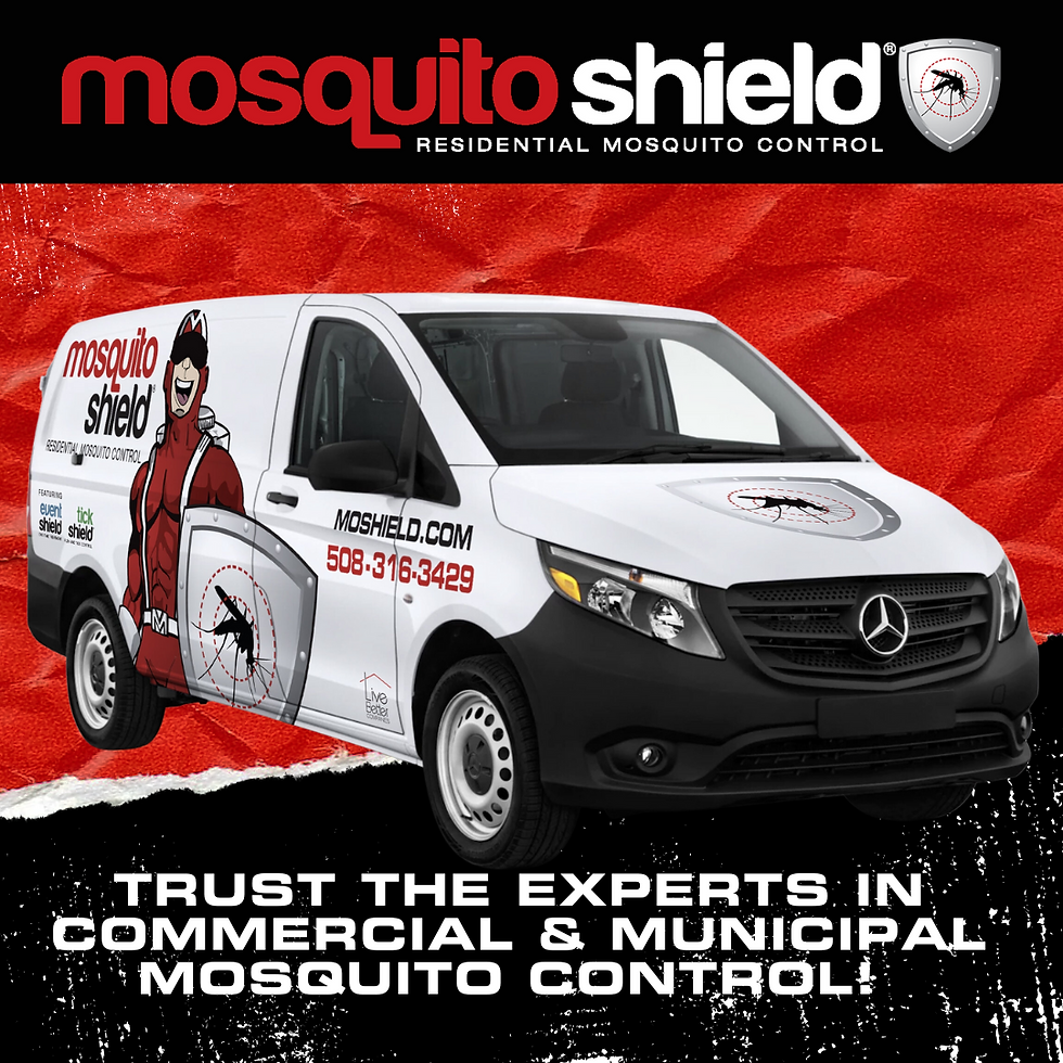 Mosquito Shield 2023 Q4
