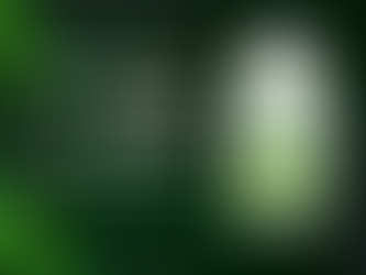 The Truth About Moringa Magic: Benefits, Drawbacks, and Personal Experiences