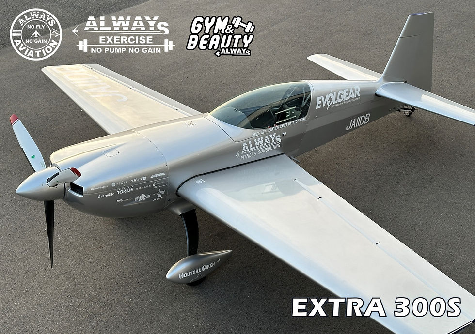 EXTRA 300S
